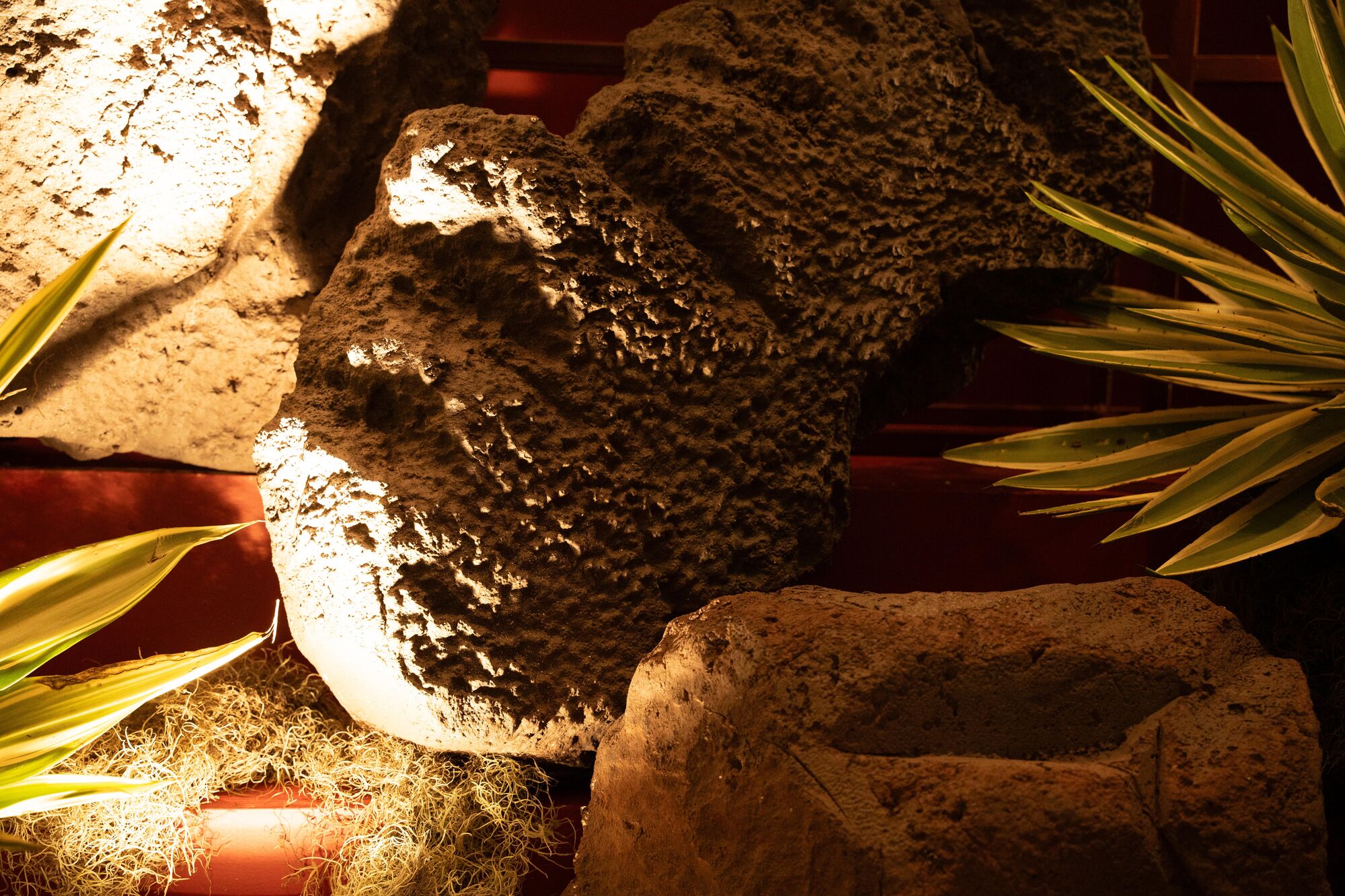 Tequila Sessions — built environment by Eccentrico Studio, Santiago, DR
